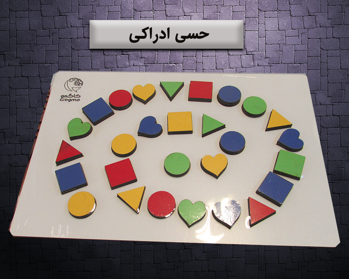 برد حسی ادراکی